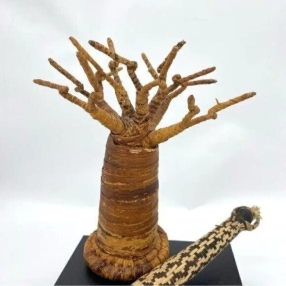 African Baobab Ornament Tree Sculpture and War Club